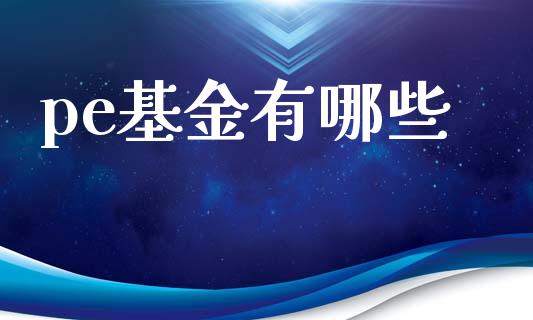 pe基金有哪些_https://cj002.lansai.wang_理财问答_第1张
