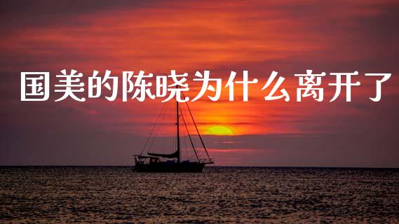 国美的陈晓为什么离开了_https://cj002.lansai.wang_财经问答_第1张