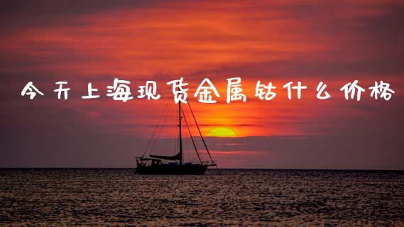 今天上海现货金属钴什么价格_https://cj002.lansai.wang_保险问答_第1张