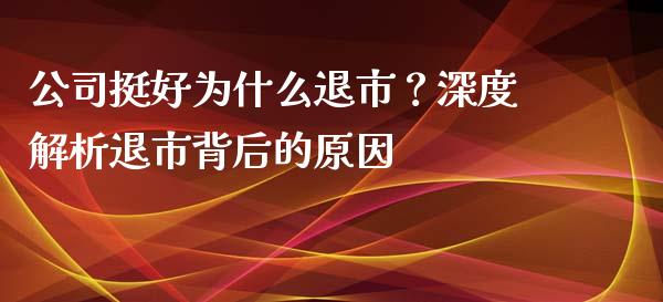 公司挺好为什么退市？深度解析退市背后的原因_https://cj002.lansai.wang_会计问答_第1张