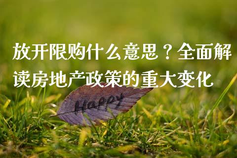 放开限购什么意思？全面解读房地产政策的重大变化_https://cj002.lansai.wang_金融问答_第1张