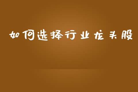如何选择行业龙头股_https://cj002.lansai.wang_期货问答_第1张