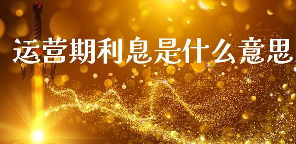 运营期利息是什么意思_https://cj002.lansai.wang_会计问答_第1张