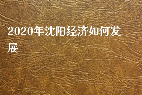 2020年沈阳经济如何发展_https://cj002.lansai.wang_股市问答_第1张
