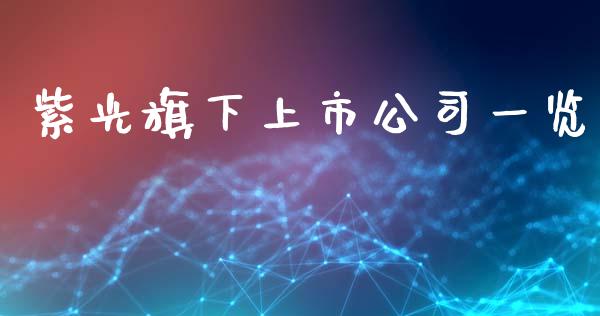 紫光旗下上市公司一览_https://cj002.lansai.wang_理财问答_第1张