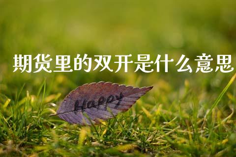 期货里的双开是什么意思_https://cj002.lansai.wang_财经问答_第1张