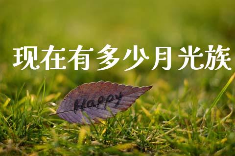 现在有多少月光族_https://cj002.lansai.wang_财经问答_第1张