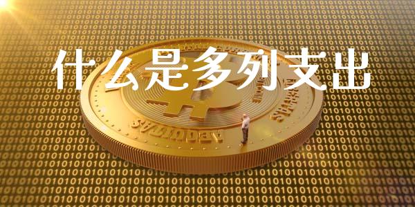 什么是多列支出_https://cj002.lansai.wang_会计问答_第1张
