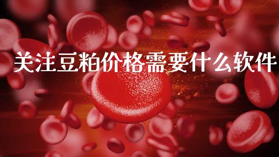 关注豆粕价格需要什么软件_https://cj002.lansai.wang_期货问答_第1张