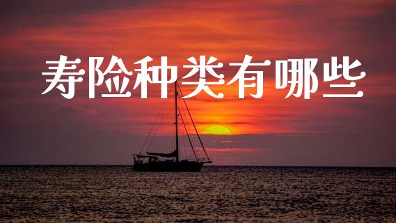 寿险种类有哪些_https://cj002.lansai.wang_理财问答_第1张