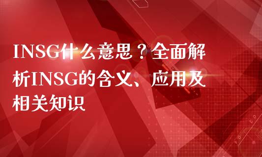INSG什么意思？全面解析INSG的含义、应用及相关知识_https://cj002.lansai.wang_财经问答_第1张