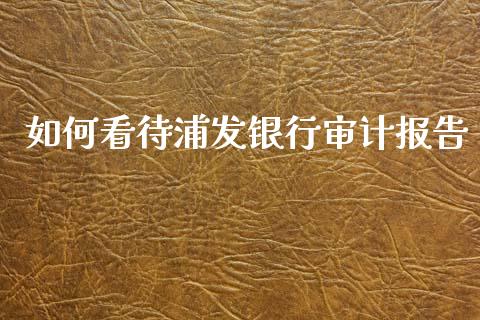 如何看待浦发银行审计报告_https://cj002.lansai.wang_股市问答_第1张