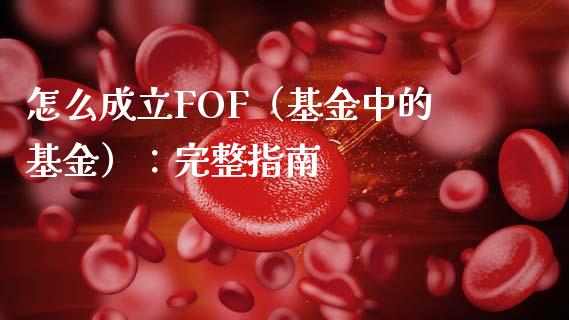 怎么成立FOF（基金中的基金）：完整指南_https://cj002.lansai.wang_保险问答_第1张
