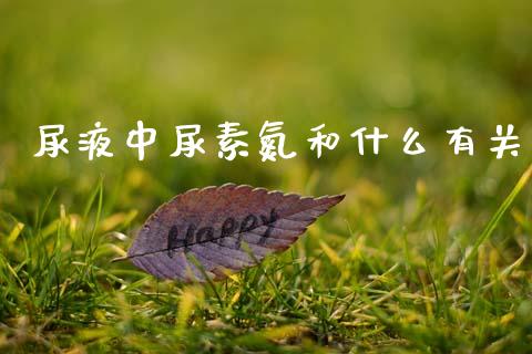 尿液中尿素氮和什么有关_https://cj002.lansai.wang_财经问答_第1张