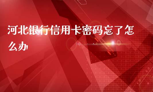 河北银行信用卡密码忘了怎么办_https://cj002.lansai.wang_金融问答_第1张