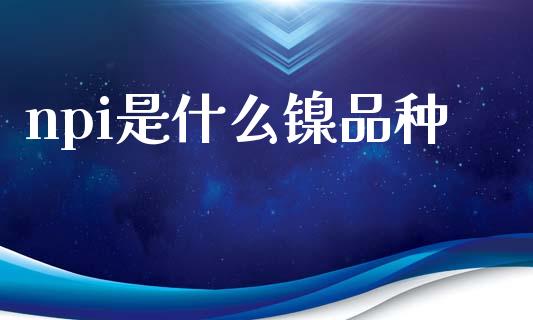 npi是什么镍品种_保险问答_第1张_财经百问网 npi是什么镍品种_https://cj002.lansai.wang_保险问答_第1张