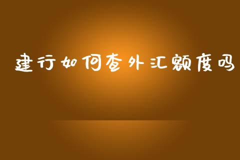 建行如何查外汇额度吗_https://cj002.lansai.wang_财经问答_第1张