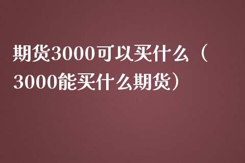 期货3000可以买什么（3000能买什么期货）_https://cj002.lansai.wang_保险问答_第1张