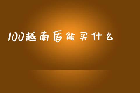 100越南盾能买什么_https://cj002.lansai.wang_财经问答_第1张