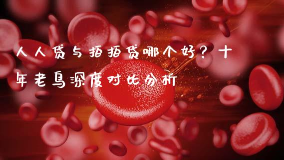 人人贷与拍拍贷哪个好？十年老鸟深度对比分析_https://cj002.lansai.wang_会计问答_第1张