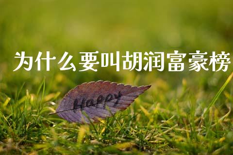为什么要叫胡润富豪榜_https://cj002.lansai.wang_理财问答_第1张