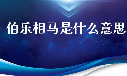 伯乐相马是什么意思_https://cj002.lansai.wang_理财问答_第1张