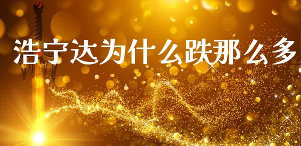 浩宁达为什么跌那么多_https://cj002.lansai.wang_理财问答_第1张