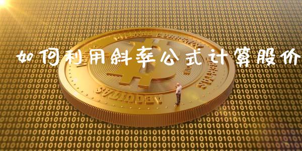 如何利用斜率公式计算股价_https://cj002.lansai.wang_理财问答_第1张