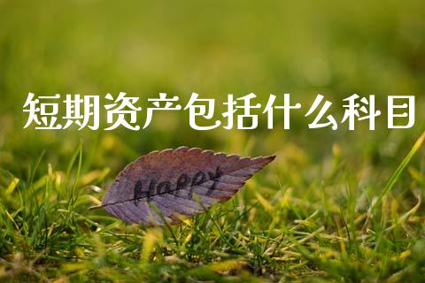 短期资产包括什么科目_https://cj002.lansai.wang_会计问答_第1张