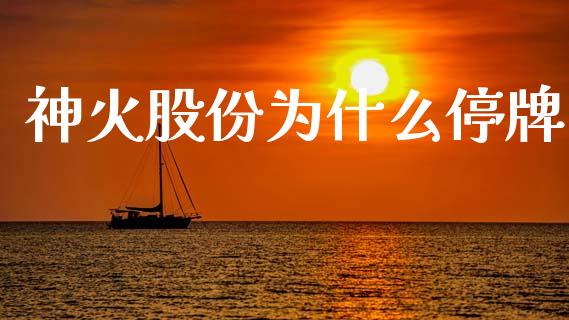 神火股份为什么停牌_https://cj002.lansai.wang_财经问答_第1张