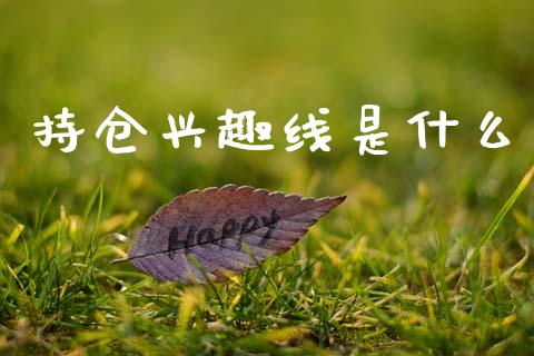 持仓兴趣线是什么_https://cj002.lansai.wang_财经问答_第1张