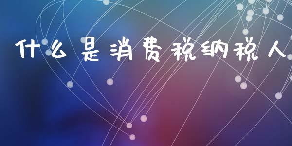 什么是消费税纳税人_https://cj002.lansai.wang_会计问答_第1张