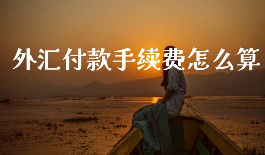 外汇付款手续费怎么算_https://cj002.lansai.wang_财经问答_第1张