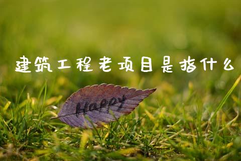 建筑工程老项目是指什么_https://cj002.lansai.wang_会计问答_第1张