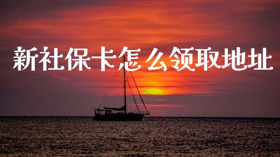 新社保卡怎么领取地址_https://cj002.lansai.wang_保险问答_第1张