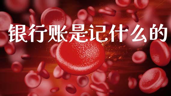 银行账是记什么的_https://cj002.lansai.wang_会计问答_第1张