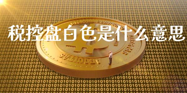 税控盘白色是什么意思_https://cj002.lansai.wang_会计问答_第1张
