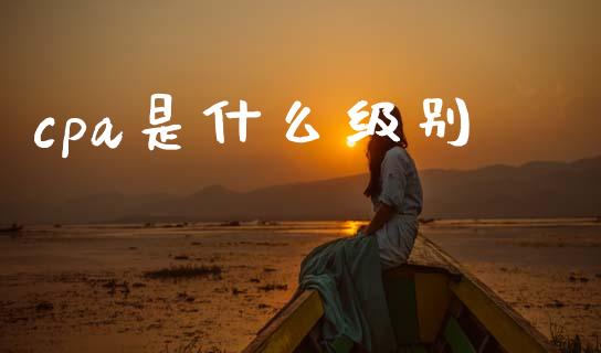 cpa是什么级别_https://cj002.lansai.wang_会计问答_第1张