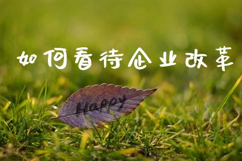如何看待企业改革_https://cj002.lansai.wang_股市问答_第1张