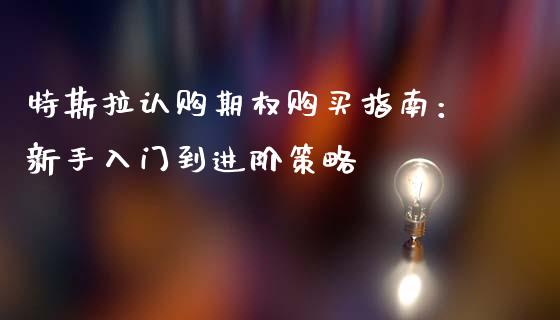 特斯拉认购期权购买指南：新手入门到进阶策略_https://cj002.lansai.wang_期货问答_第1张