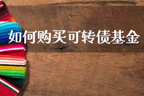 如何购买可转债基金_https://cj002.lansai.wang_金融问答_第1张