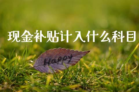现金补贴计入什么科目_https://cj002.lansai.wang_会计问答_第1张