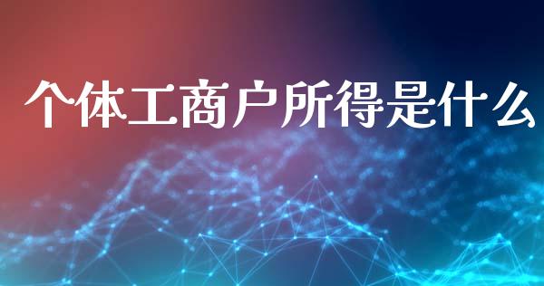 个体工商户所得是什么_https://cj002.lansai.wang_会计问答_第1张