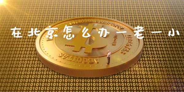 在北京怎么办一老一小_https://cj002.lansai.wang_保险问答_第1张