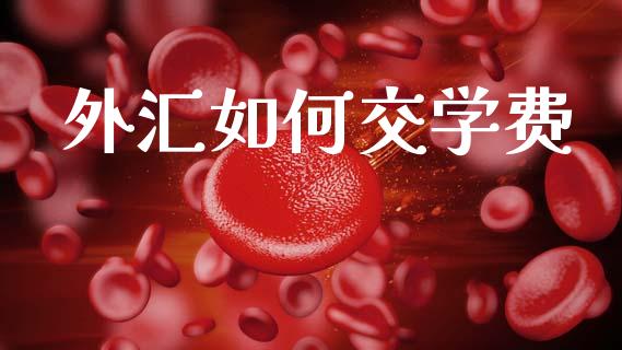 外汇如何交学费_https://cj002.lansai.wang_财经问答_第1张