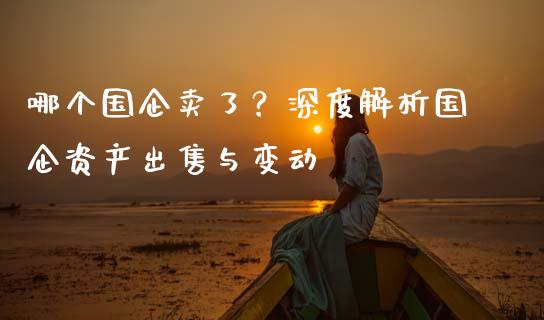 哪个国企卖了？深度解析国企资产出售与变动_https://cj002.lansai.wang_股市问答_第1张