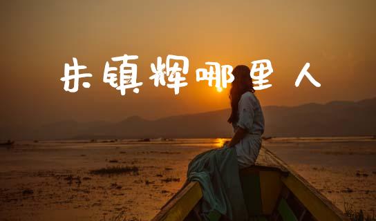 朱镇辉哪里人_https://cj002.lansai.wang_理财问答_第1张