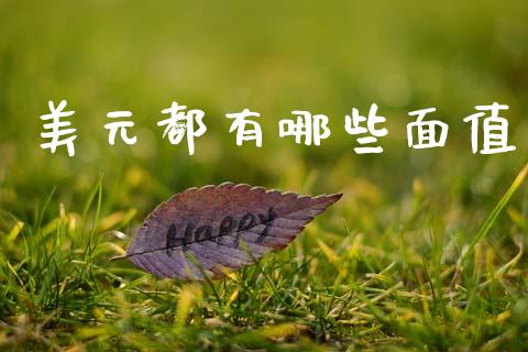 美元都有哪些面值_https://cj002.lansai.wang_财经问答_第1张