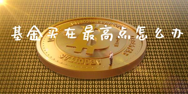 基金买在最高点怎么办_https://cj002.lansai.wang_财经百问_第1张