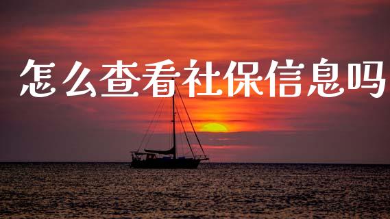 怎么查看社保信息吗_https://cj002.lansai.wang_保险问答_第1张